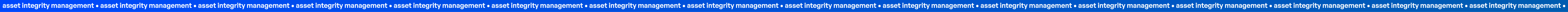 asset-integrity-management-aims-strim (1)